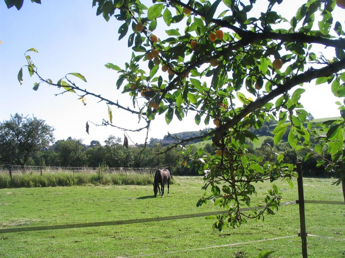 Bed & Breakfast 4 Collines *